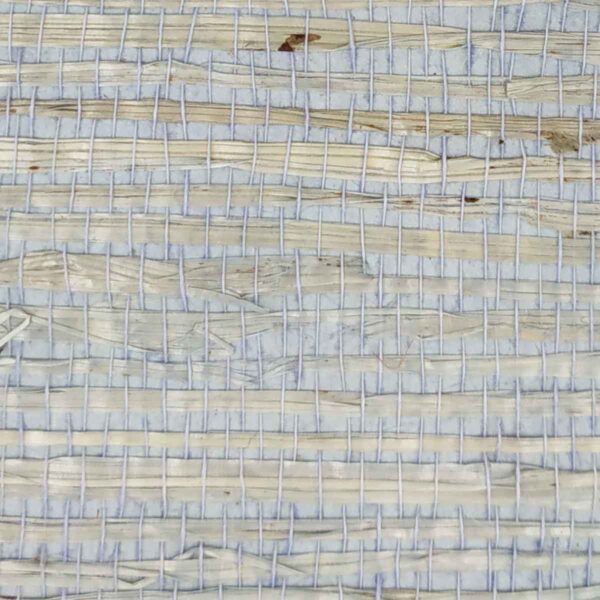 TWP-660009  Arrowroot
