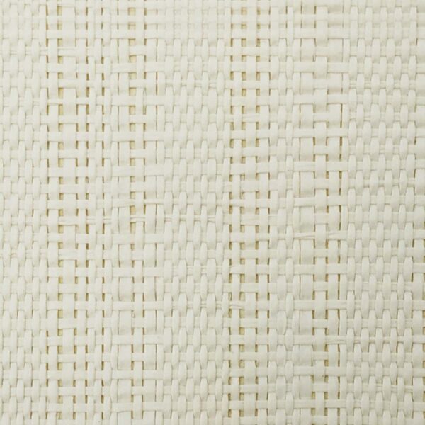TWP-610006  Paper Weave