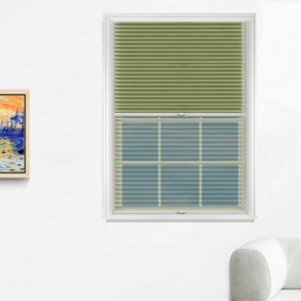 DAY & NIGHT PLEATED BLIND